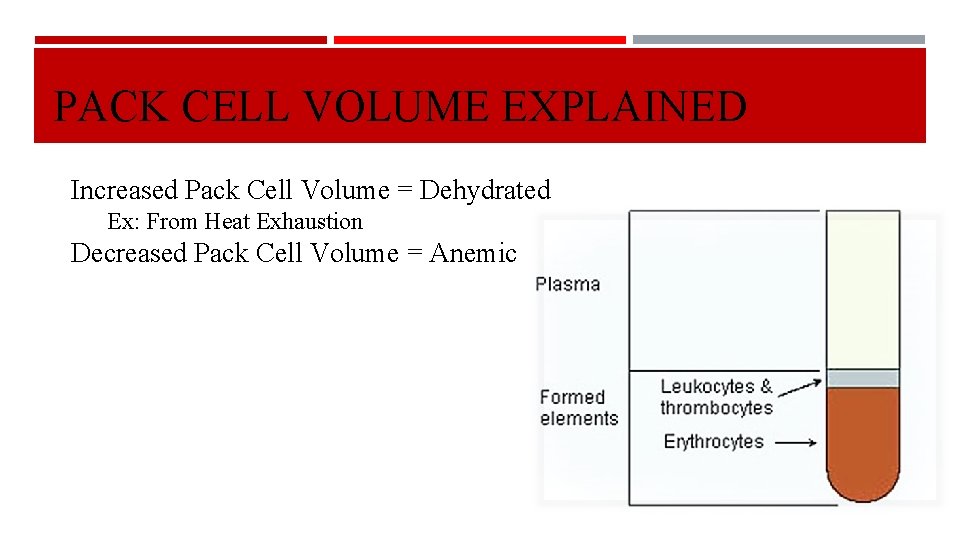 PACK CELL VOLUME EXPLAINED Increased Pack Cell Volume = Dehydrated Ex: From Heat Exhaustion