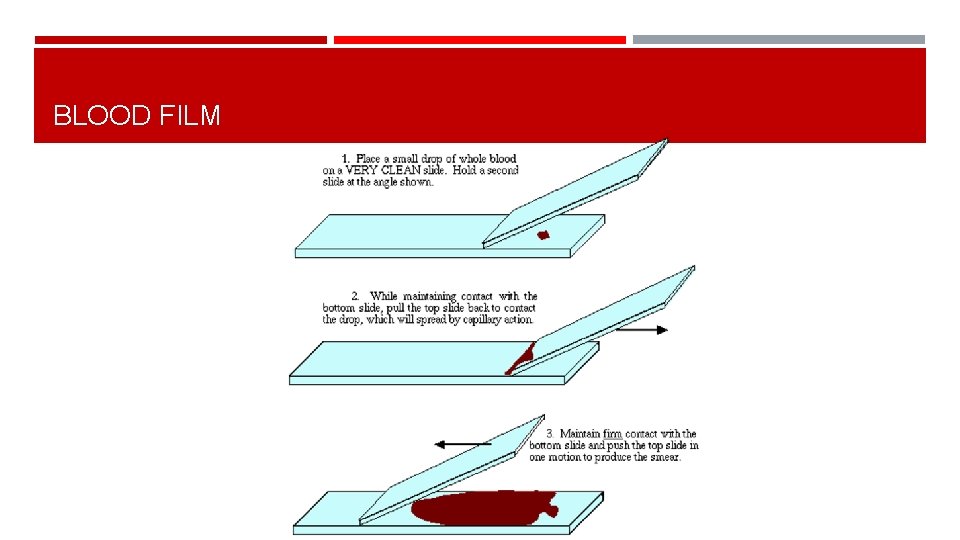BLOOD FILM 