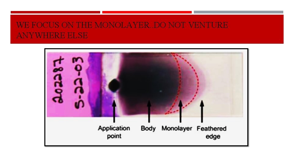 WE FOCUS ON THE MONOLAYER. . DO NOT VENTURE ANYWHERE ELSE 