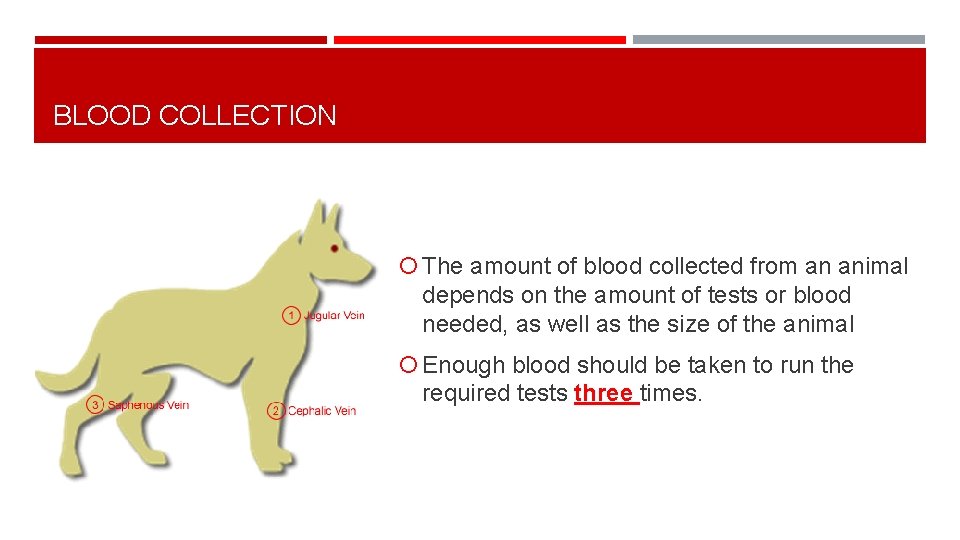 BLOOD COLLECTION The amount of blood collected from an animal depends on the amount