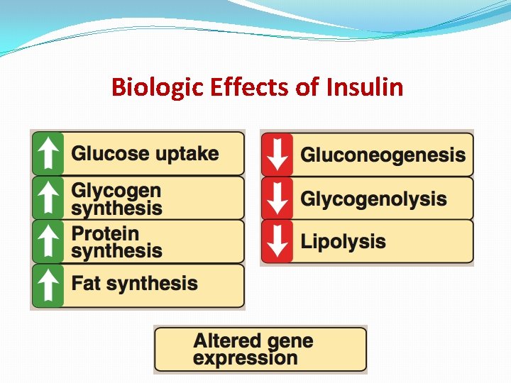 Biologic Effects of Insulin 