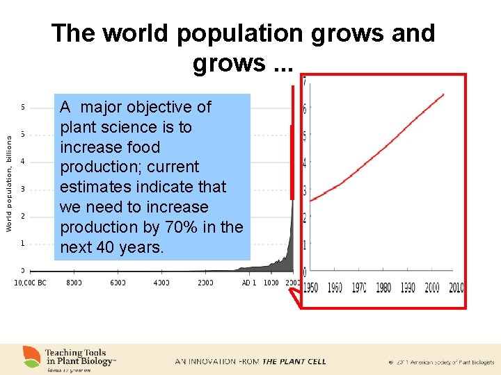 The world population grows and grows. . . A major objective of plant science