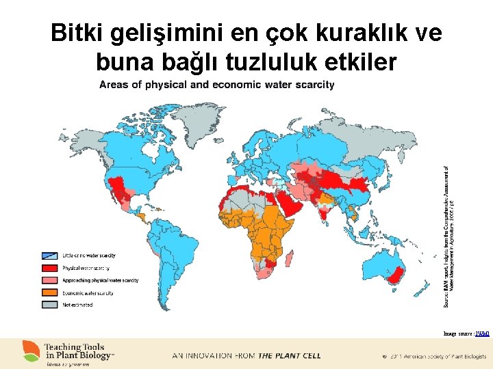 Bitki gelişimini en çok kuraklık ve buna bağlı tuzluluk etkiler Image source: IWMI 