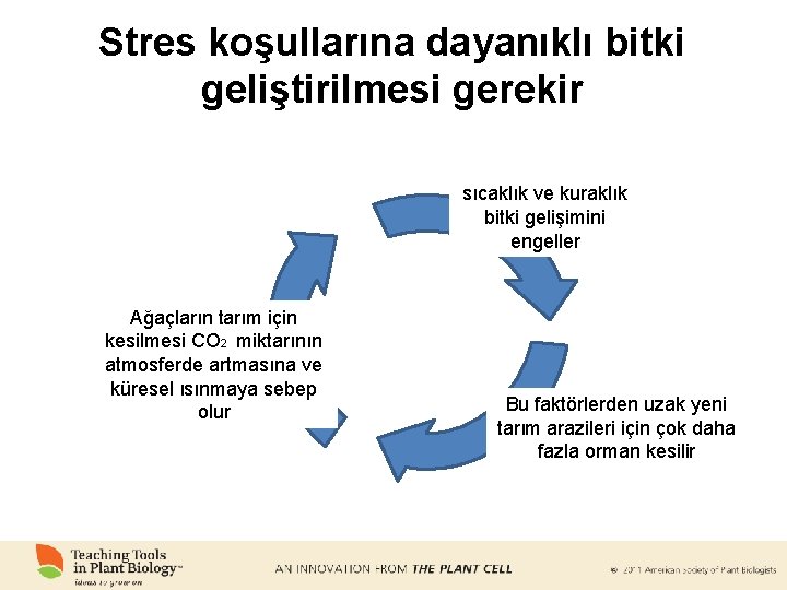 Stres koşullarına dayanıklı bitki geliştirilmesi gerekir sıcaklık ve kuraklık bitki gelişimini engeller Ağaçların tarım