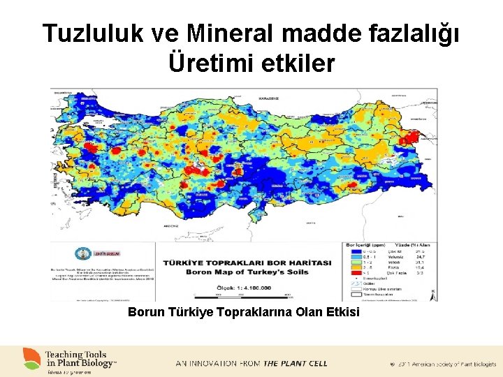 Tuzluluk ve Mineral madde fazlalığı Üretimi etkiler Borun Türkiye Topraklarına Olan Etkisi 