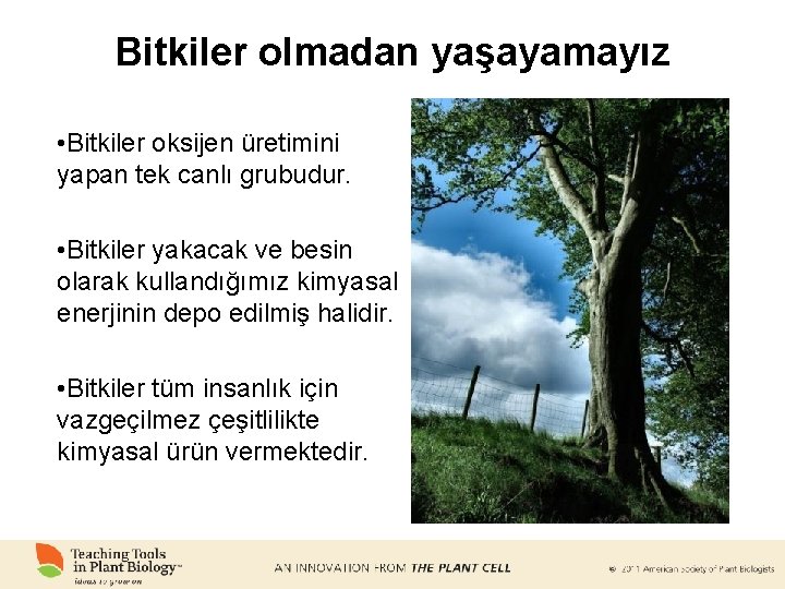 Bitkiler olmadan yaşayamayız • Bitkiler oksijen üretimini yapan tek canlı grubudur. • Bitkiler yakacak