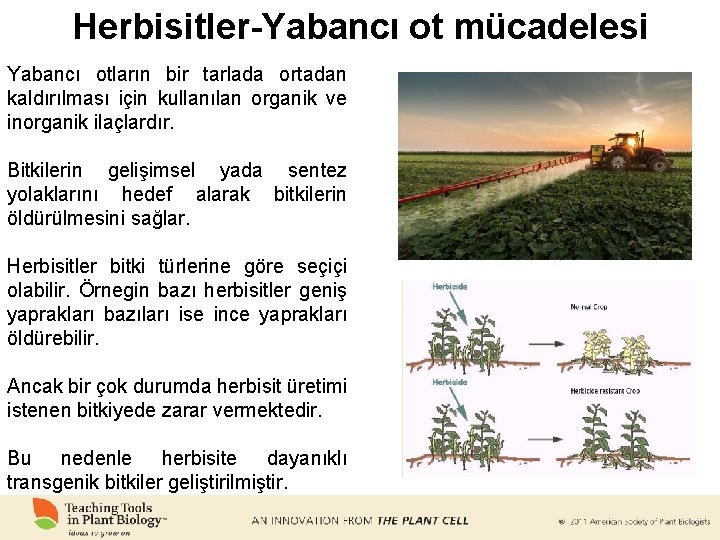 Herbisitler-Yabancı ot mücadelesi Yabancı otların bir tarlada ortadan kaldırılması için kullanılan organik ve inorganik