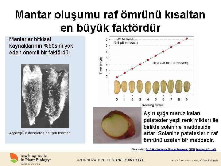 Mantar oluşumu raf ömrünü kısaltan en büyük faktördür Mantarlar bitkisel kaynaklarının %50 sini yok