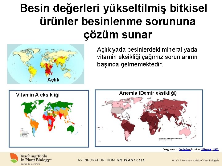 Besin değerleri yükseltilmiş bitkisel ürünler besinlenme sorununa çözüm sunar Açlık yada besinlerdeki mineral yada