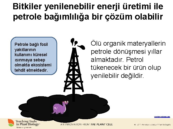 Bitkiler yenilenebilir enerji üretimi ile petrole bağımlılığa bir çözüm olabilir Petrole bağlı fosil yakıtlarının