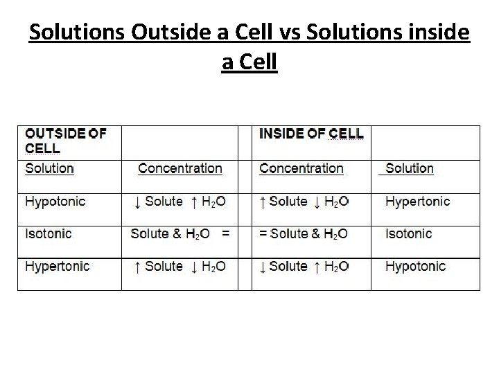 Solutions Outside a Cell vs Solutions inside a Cell 