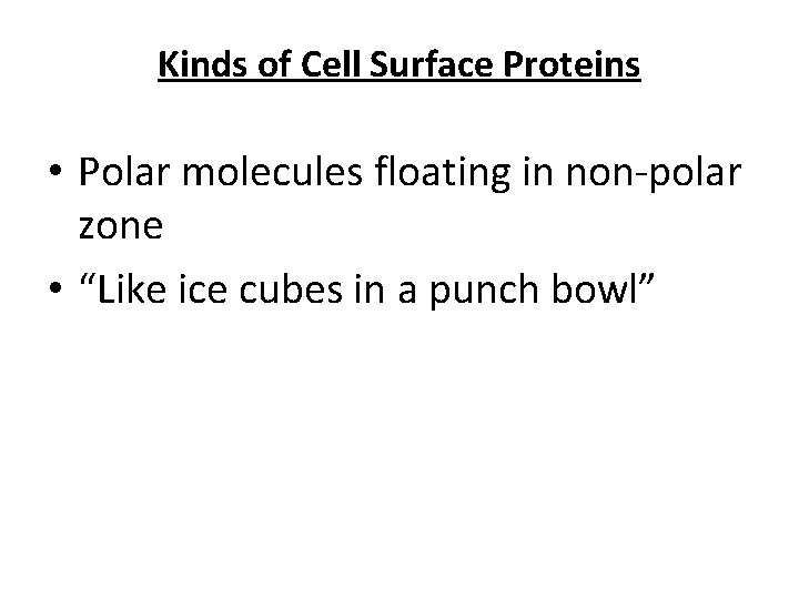 Kinds of Cell Surface Proteins • Polar molecules floating in non-polar zone • “Like
