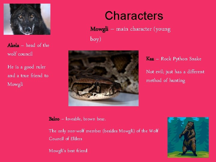 Characters Akela – head of the wolf council Mowgli – main character (young boy)