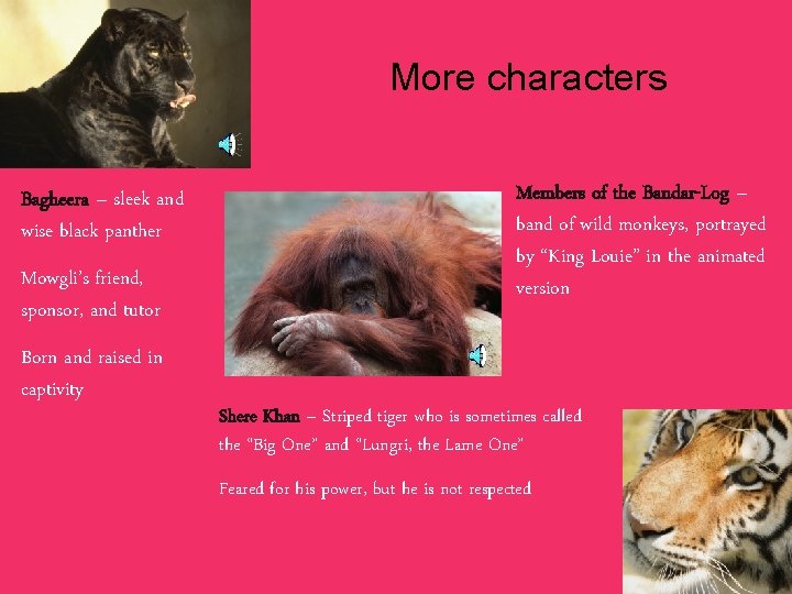 More characters Bagheera – sleek and wise black panther Mowgli’s friend, sponsor, and tutor