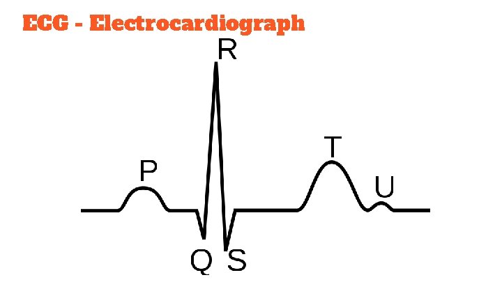 ECG - Electrocardiograph 