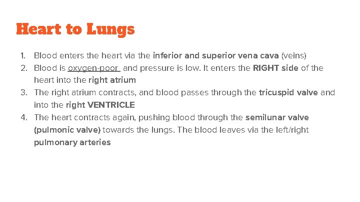 Heart to Lungs 1. Blood enters the heart via the inferior and superior vena