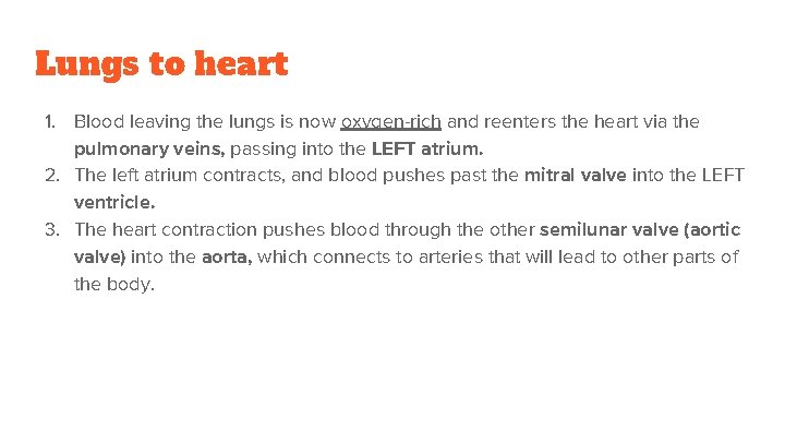 Lungs to heart 1. Blood leaving the lungs is now oxygen-rich and reenters the