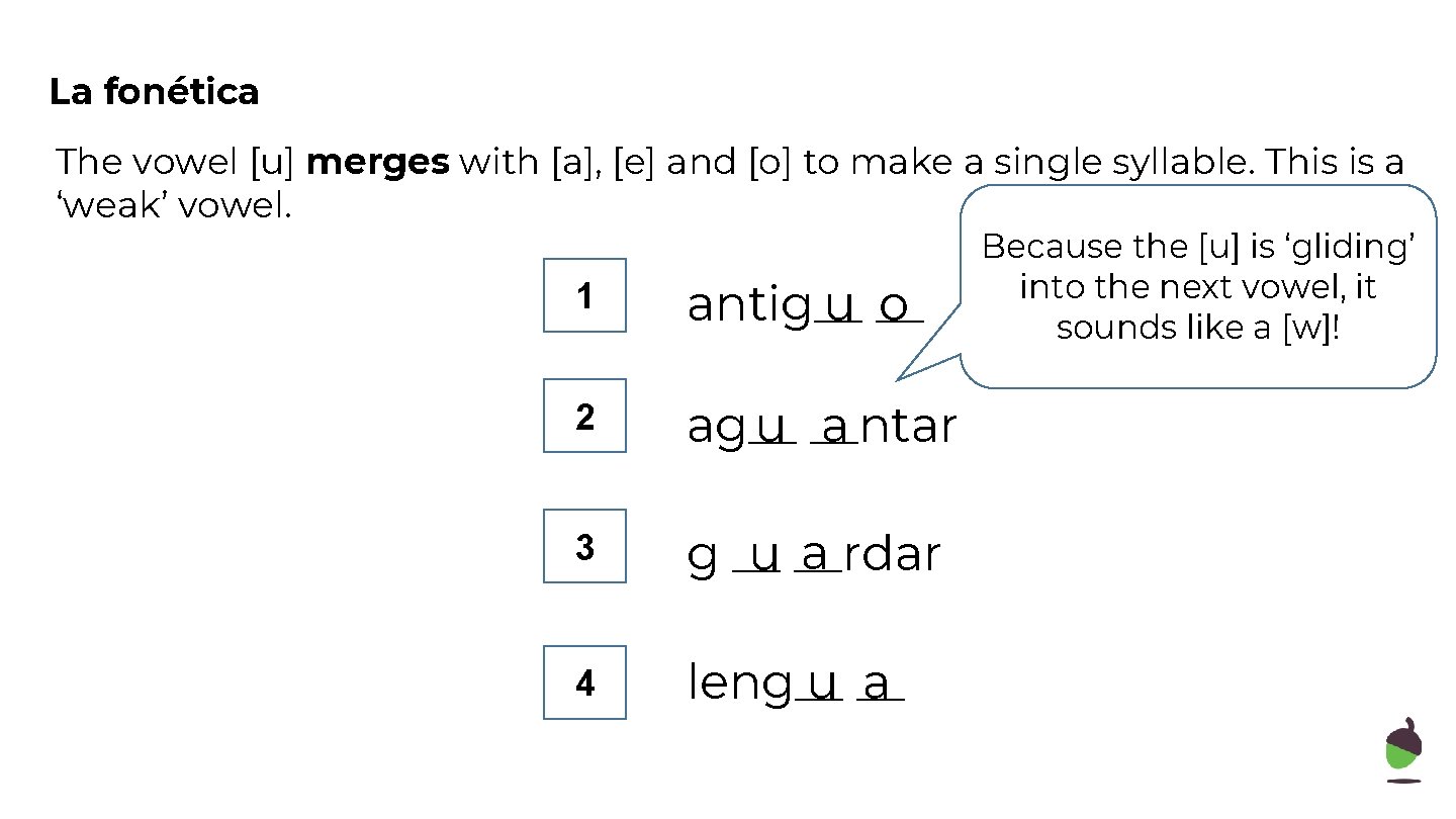 La fonética The vowel [u] merges with [a], [e] and [o] to make a