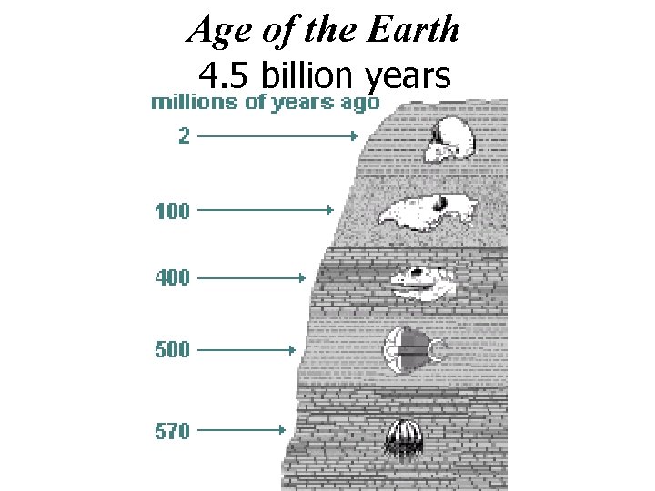 Age of the Earth 4. 5 billion years 