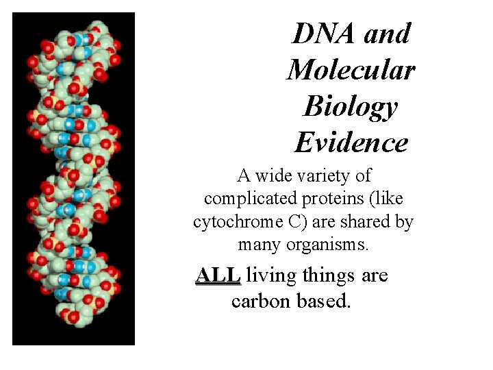 DNA and Molecular Biology Evidence A wide variety of complicated proteins (like cytochrome C)