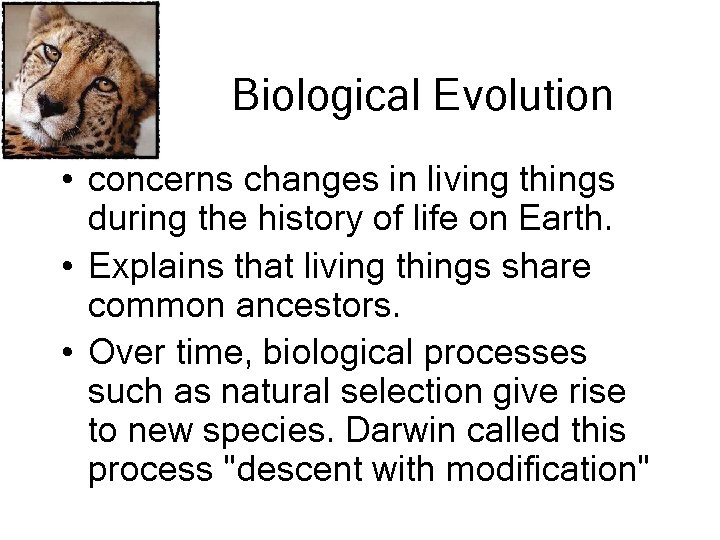 Biological Evolution • concerns changes in living things during the history of life on