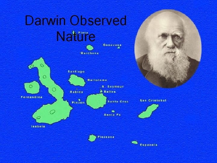Darwin Observed Nature 