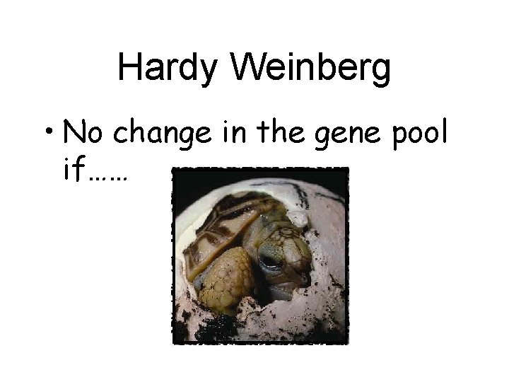 Hardy Weinberg • No change in the gene pool if…… 