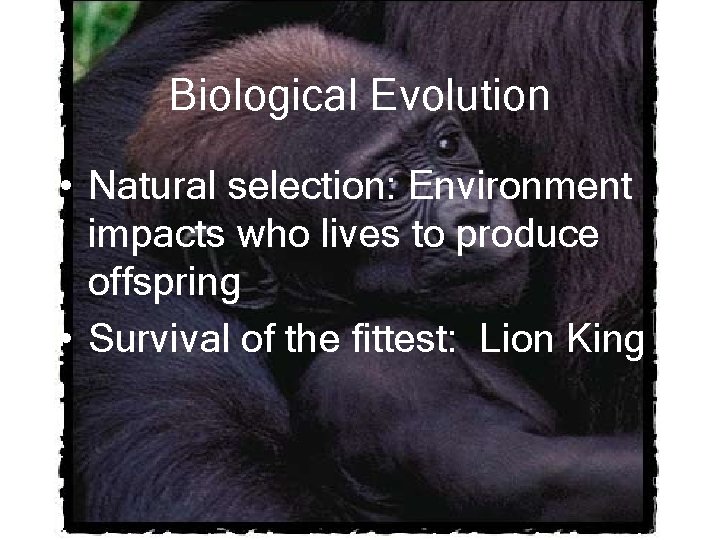 Biological Evolution • Natural selection: Environment impacts who lives to produce offspring • Survival