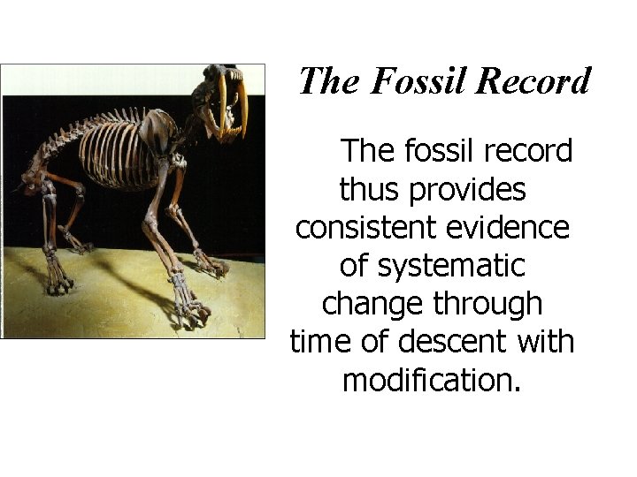 The Fossil Record The fossil record thus provides consistent evidence of systematic change through