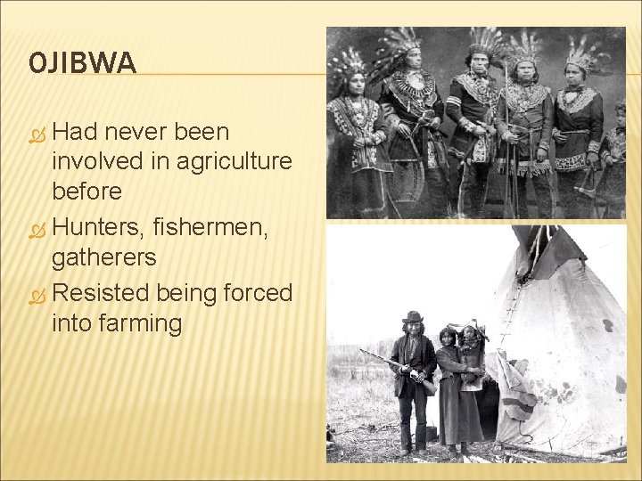 OJIBWA Had never been involved in agriculture before Hunters, fishermen, gatherers Resisted being forced