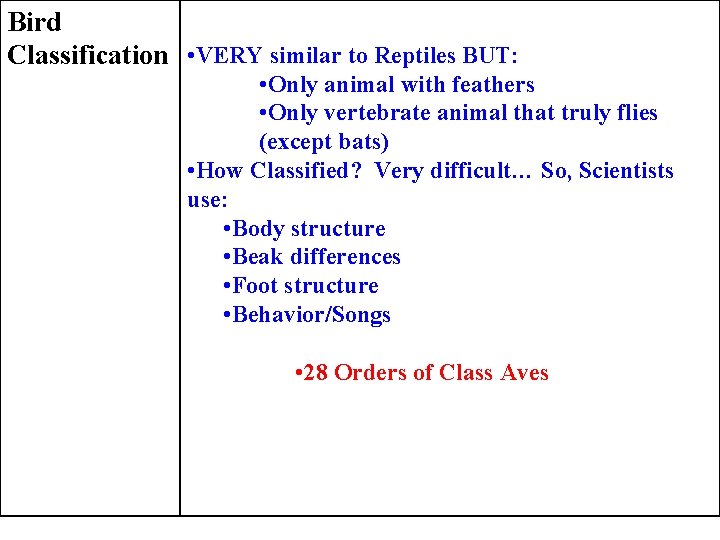 Bird Classification • VERY similar to Reptiles BUT: • Only animal with feathers •