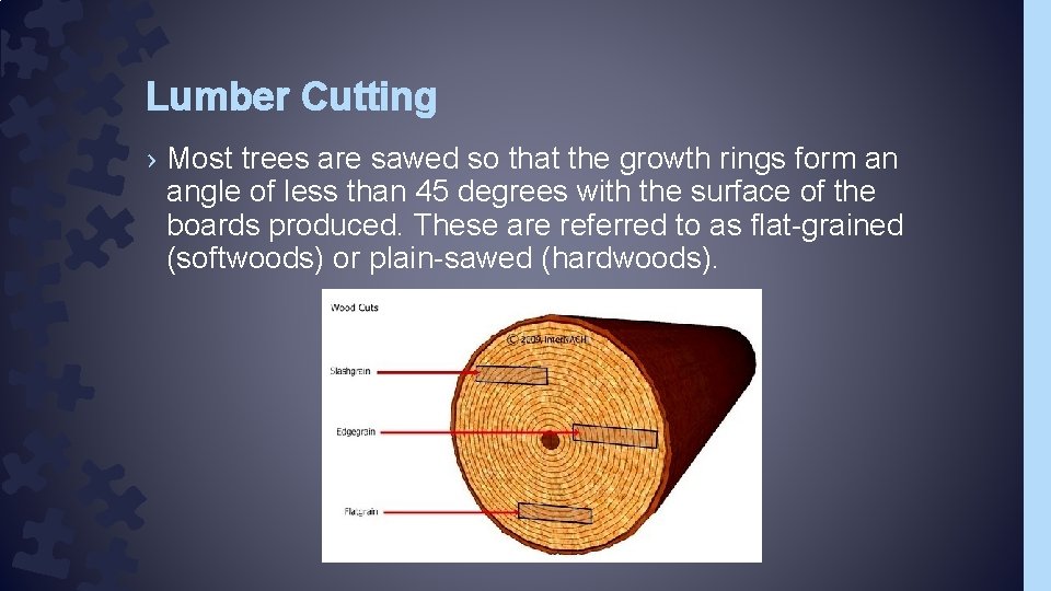 Lumber Cutting › Most trees are sawed so that the growth rings form an