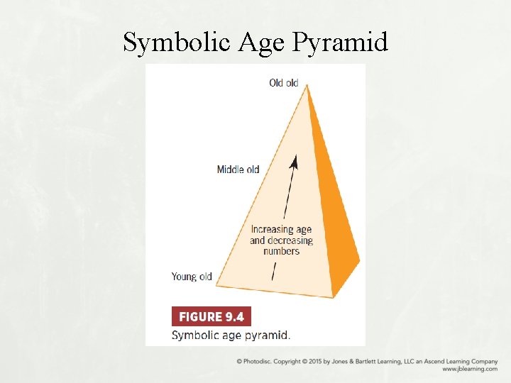 Symbolic Age Pyramid 