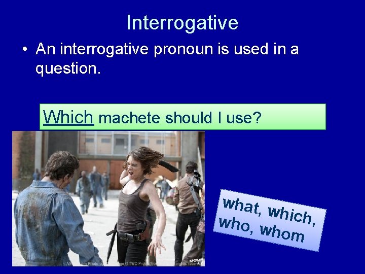 Interrogative • An interrogative pronoun is used in a question. Which machete should I