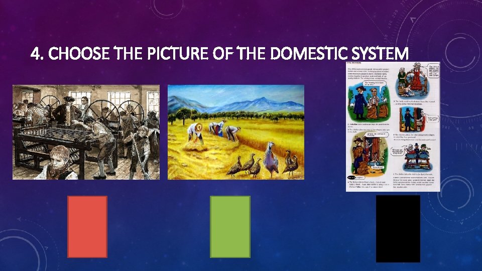 4. CHOOSE THE PICTURE OF THE DOMESTIC SYSTEM 
