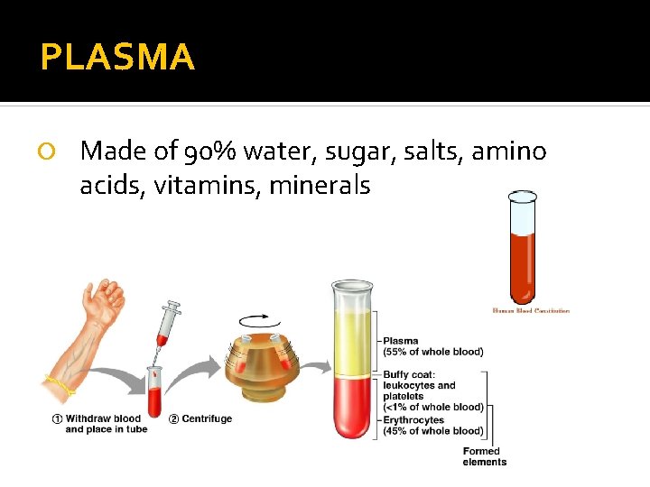 PLASMA Made of 90% water, sugar, salts, amino acids, vitamins, minerals 