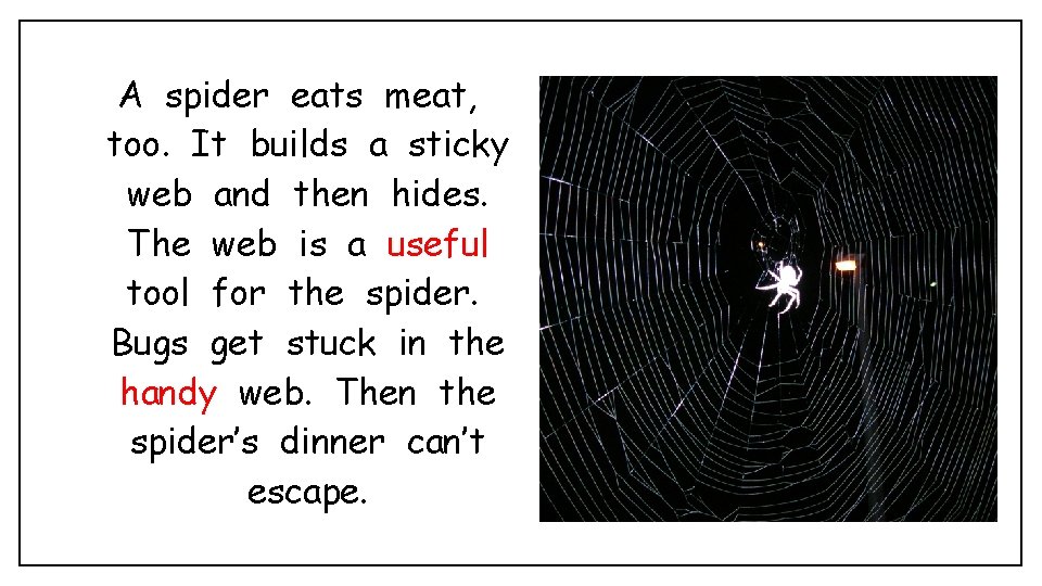 A spider eats meat, too. It builds a sticky web and then hides. The