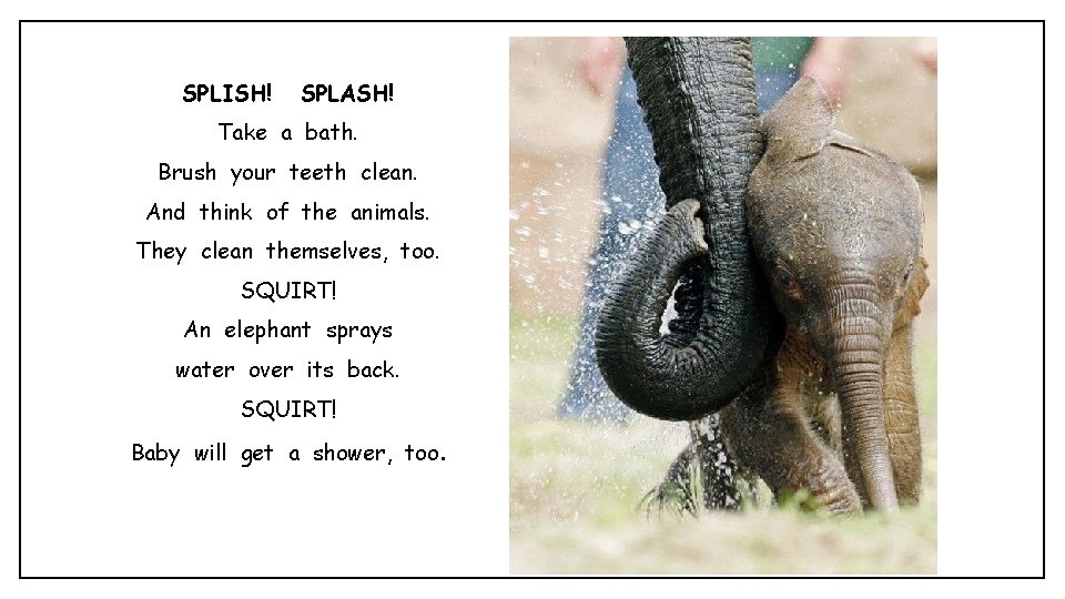 SPLISH! SPLASH! Take a bath. Brush your teeth clean. And think of the animals.