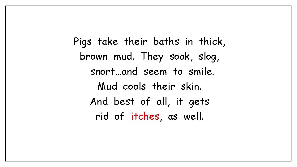 Pigs take their baths in thick, brown mud. They soak, slog, snort…and seem to