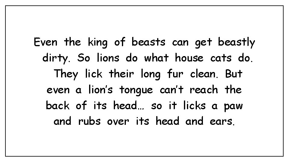 Even the king of beasts can get beastly dirty. So lions do what house