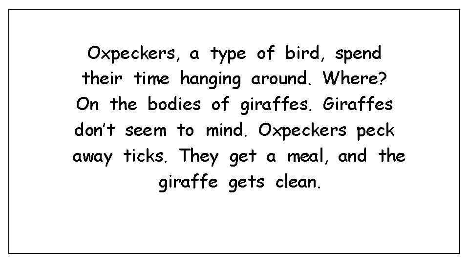 Oxpeckers, a type of bird, spend their time hanging around. Where? On the bodies