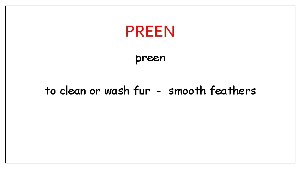 PREEN preen to clean or wash fur - smooth feathers 