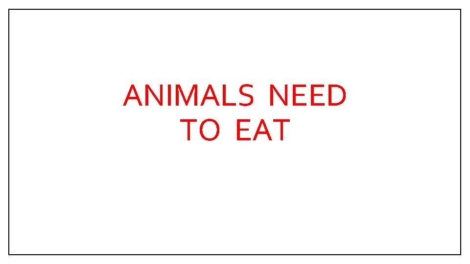 ANIMALS NEED TO EAT 