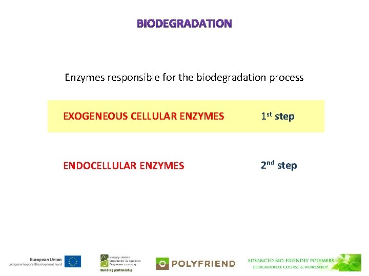 Enzymes responsible for the biodegradation process EXOGENEOUS CELLULAR ENZYMES 1 st step ENDOCELLULAR ENZYMES