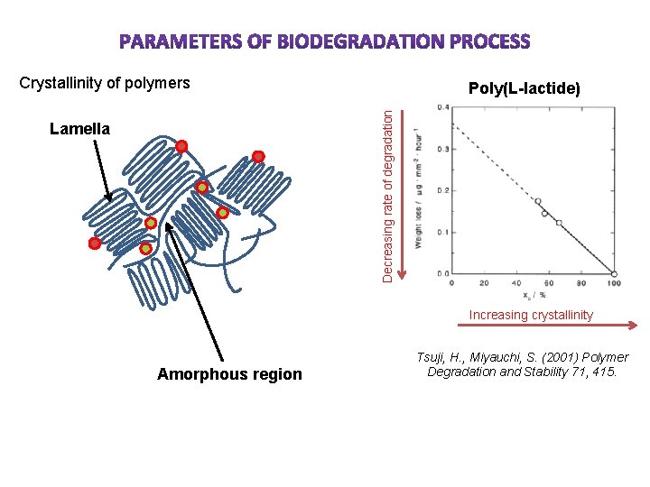 Crystallinity of polymers Decreasing rate of degradation Poly(L-lactide) Lamella Increasing crystallinity Amorphous region Tsuji,