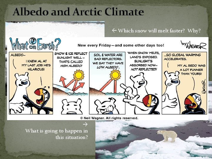Albedo and Arctic Climate Which snow will melt faster? Why? What is going to