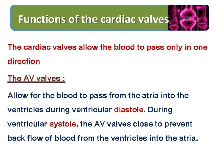 Functions of the cardiac valves The cardiac valves allow the blood to pass only