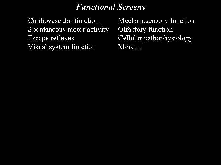 Functional Screens Cardiovascular function Spontaneous motor activity Escape reflexes Visual system function Mechanosensory function