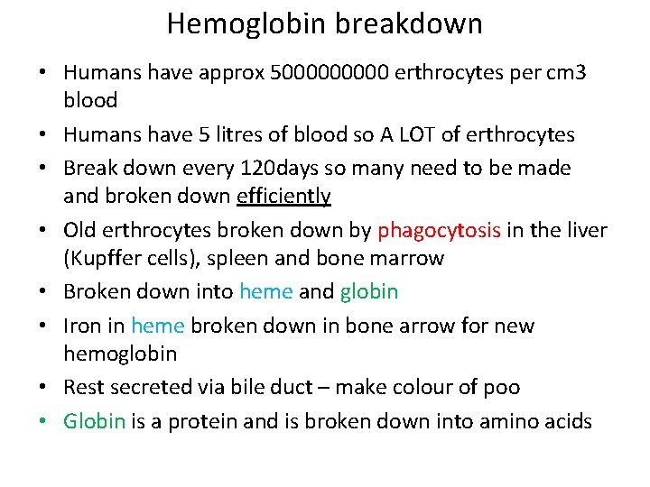 Hemoglobin breakdown • Humans have approx 500000 erthrocytes per cm 3 blood • Humans