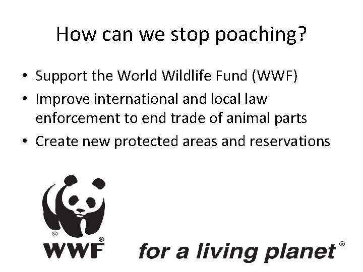How can we stop poaching? • Support the World Wildlife Fund (WWF) • Improve